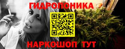 прущие грибы Заводоуковск