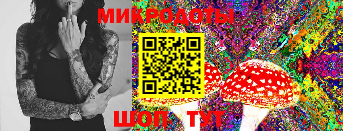 Псилоцибиновые грибы мухоморы Серпухов