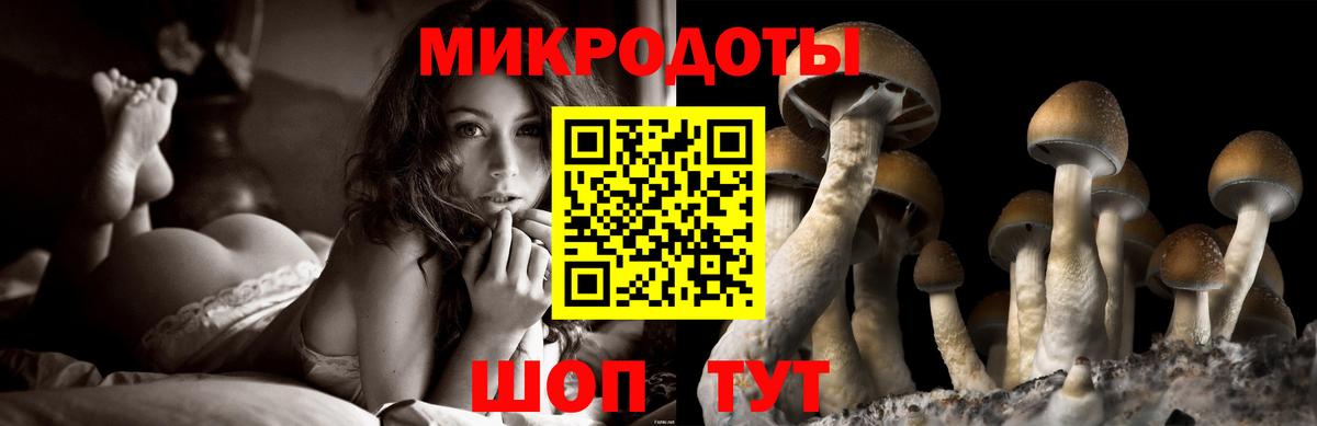 купить наркоту  Галлюциногенные грибы Psilocybe  Вход с VPN  Серпухов  Псилоцибиновые грибы мицелий 